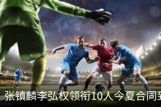 张镇麟李弘权领衔10人今夏合同到期：上海除王哲林两大顶薪花落谁家？